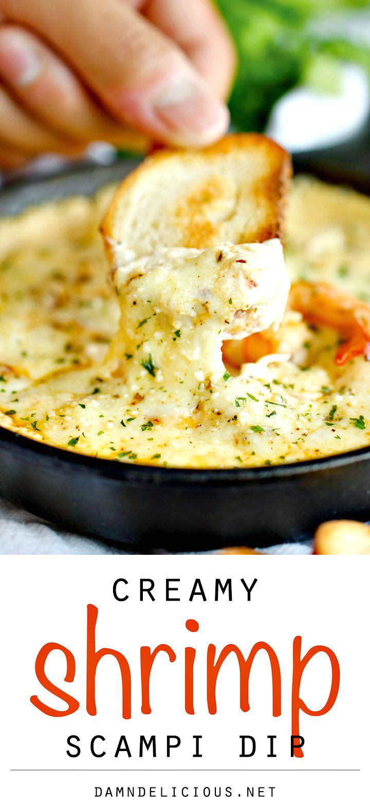 Best and Easy Shrimp Scampi Dip Recipe