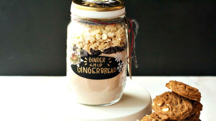 Simple Ginger-Chip Gingerbread Cookies